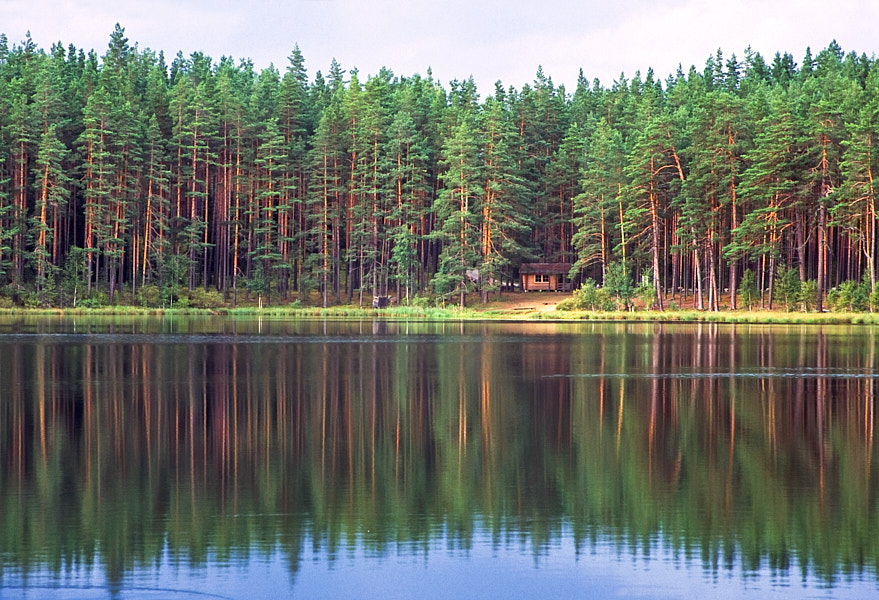 Nohipalu Valgjärv