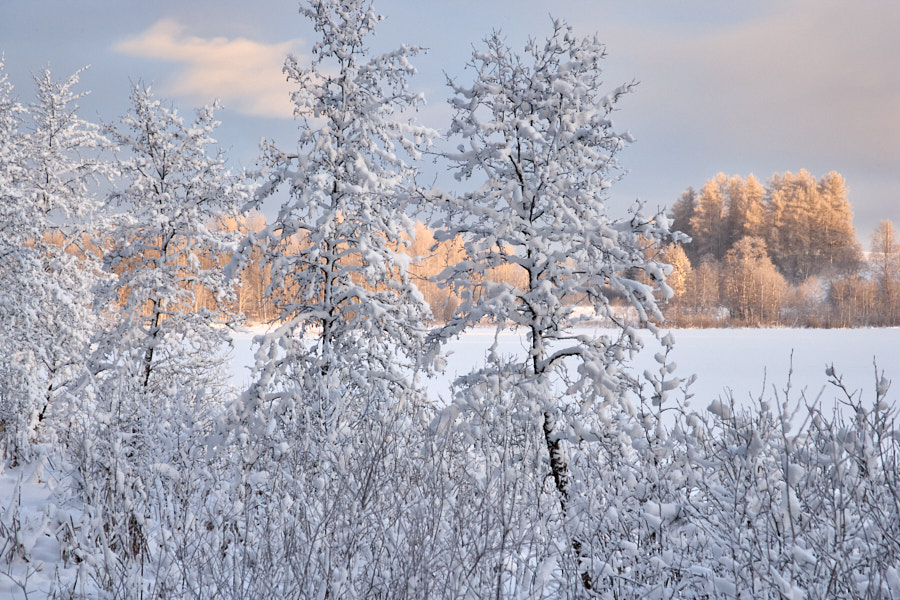 Neitsi järv. Otepää kõrgustik