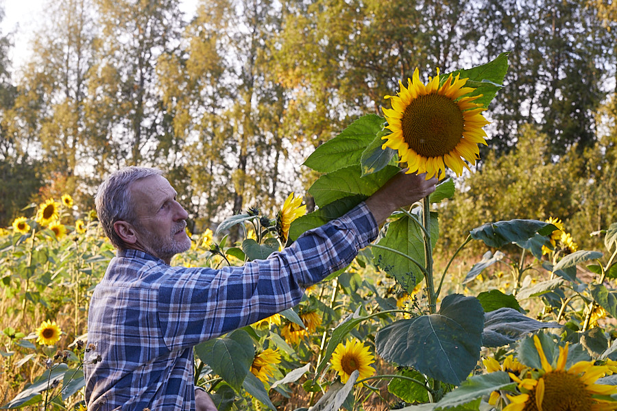 Naturalist Aarne Ots