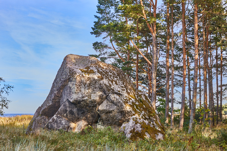 Kaarnakivi