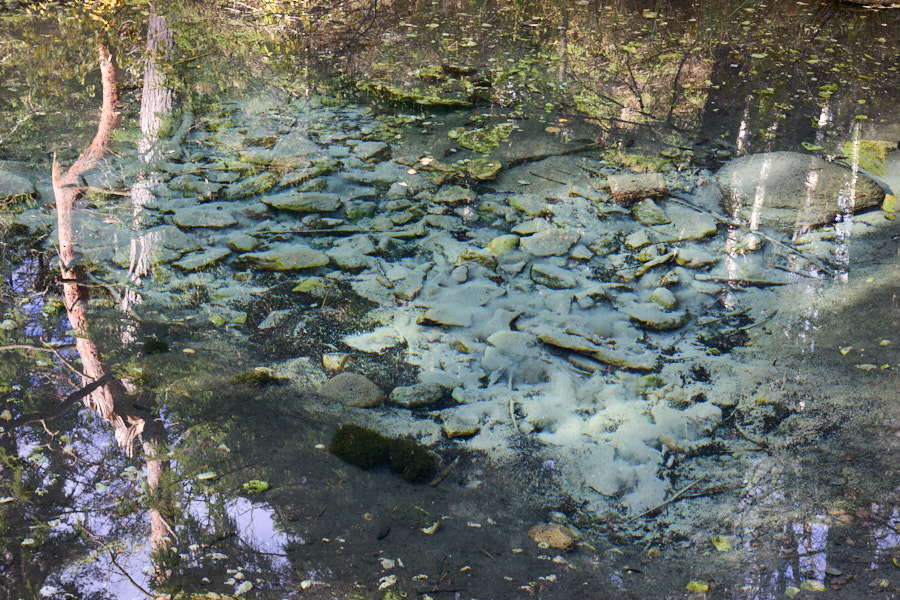 Oostriku Suurallikas